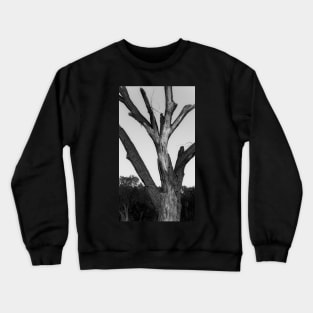 Lightning scarred tree Crewneck Sweatshirt